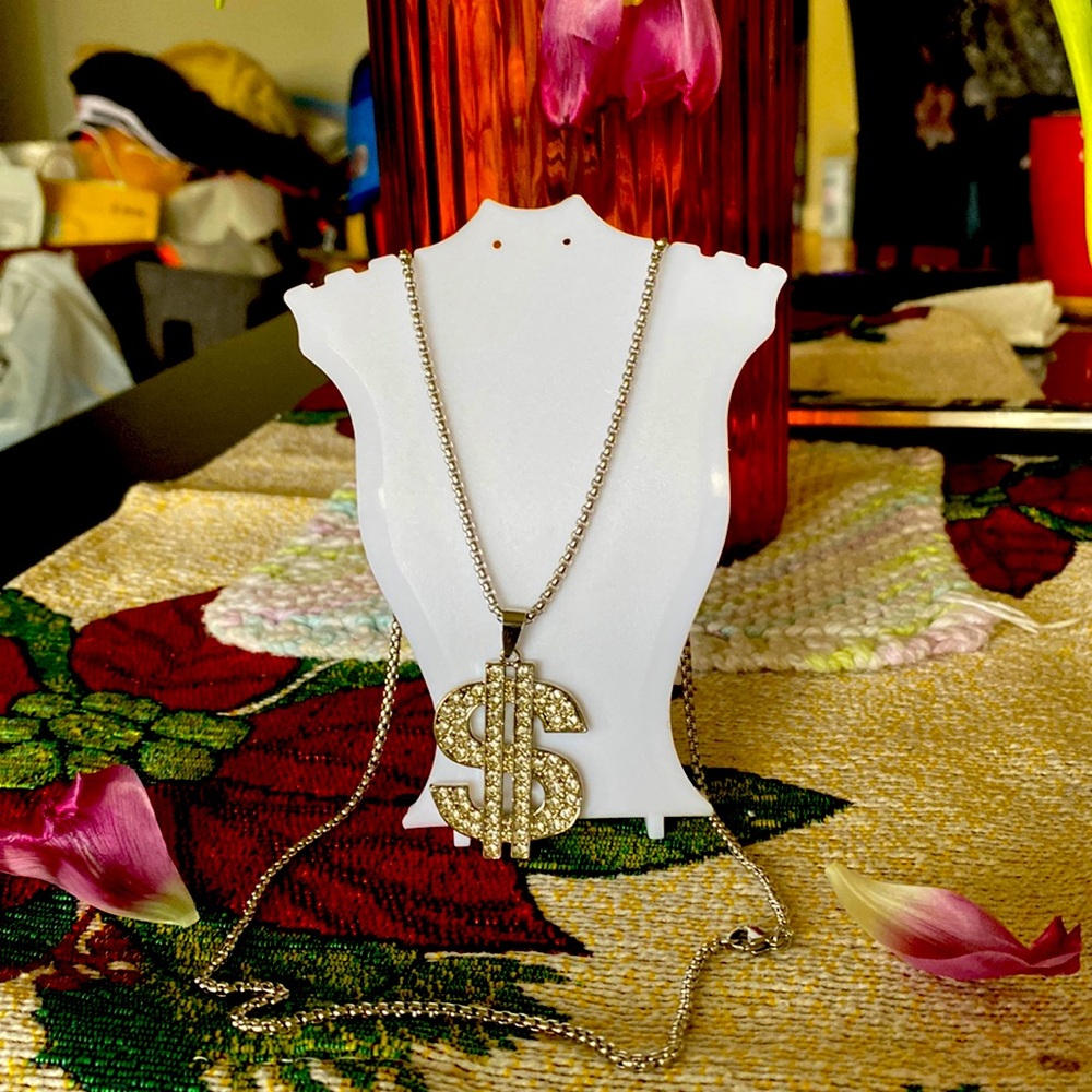 Dollar necklace